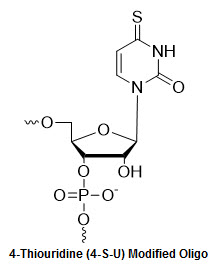 Bio-Synthesis Inc. Oligo Structure